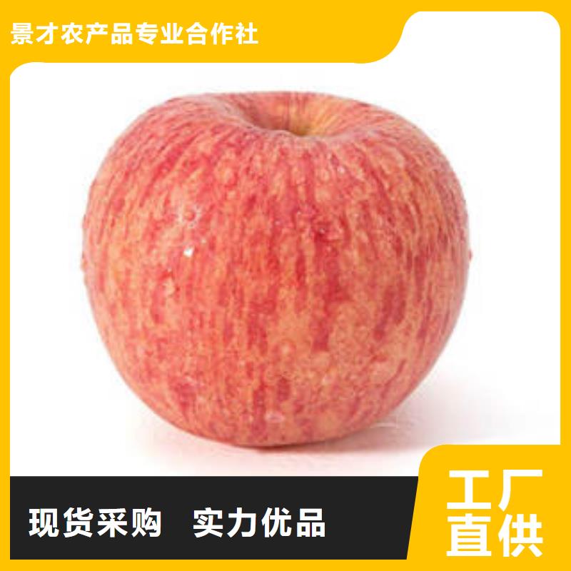 红富士苹果,苹果批发符合标准