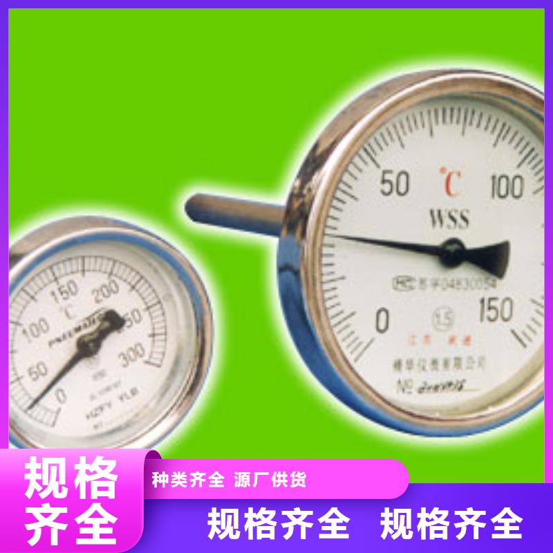 双金属温度计【氢气玻璃转子流量计】工艺成熟当地供应商