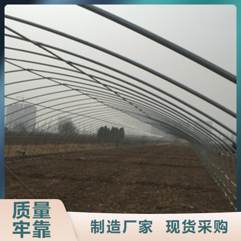 【大棚管】方管可零售可批发