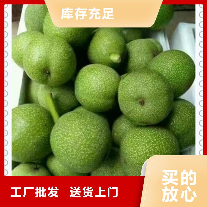 【核桃苗梨树苗欢迎来厂考察】