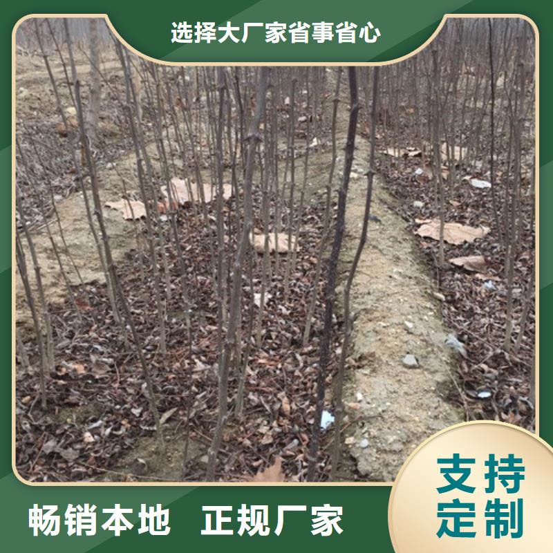 型号全价格低花椒苗_【桃树苗】一站式服务