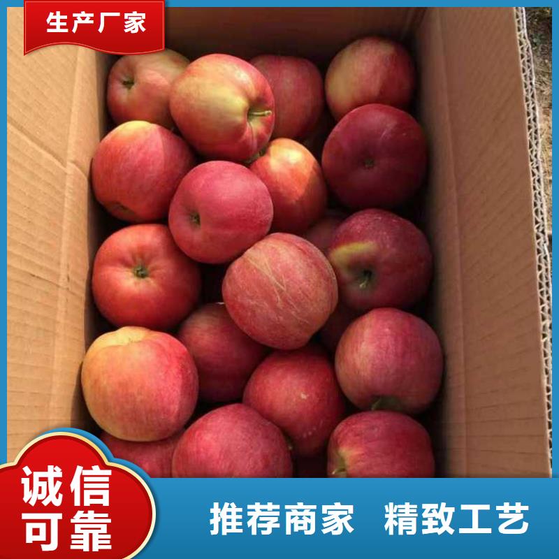 苹果苗桃树苗拥有核心技术优势