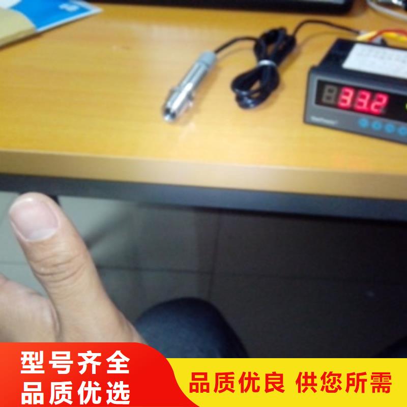 IRTP300L-金属管浮子流量计质检严格
