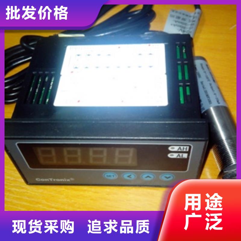 【 IRTP300L_金属转子流量计支持大批量采购】|芝罘|长岛|淄博|临沂|东营|滨州|青岛|潍坊|聊城供应商