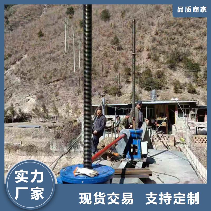 螺杆式启闭机斜拉式启闭机品质不将就