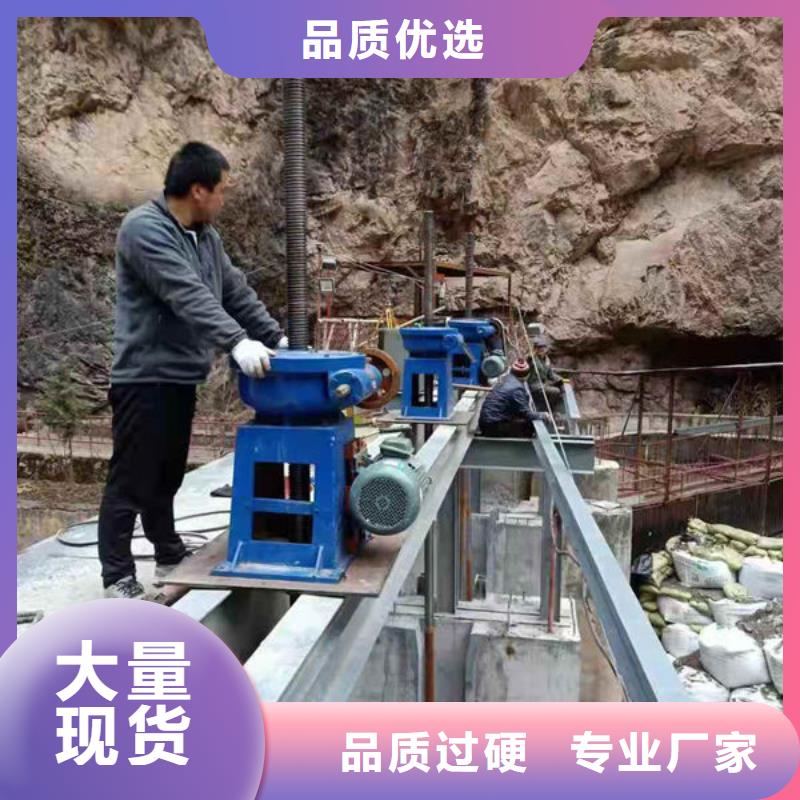 螺杆式启闭机启闭机闸门工厂直销