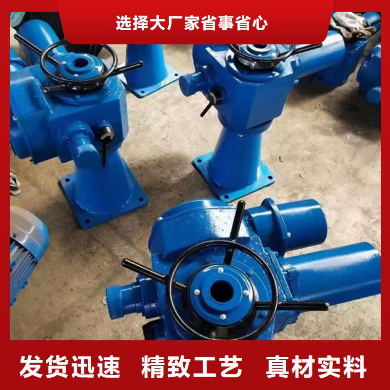 螺杆式启闭机双吊点启闭机现货直发