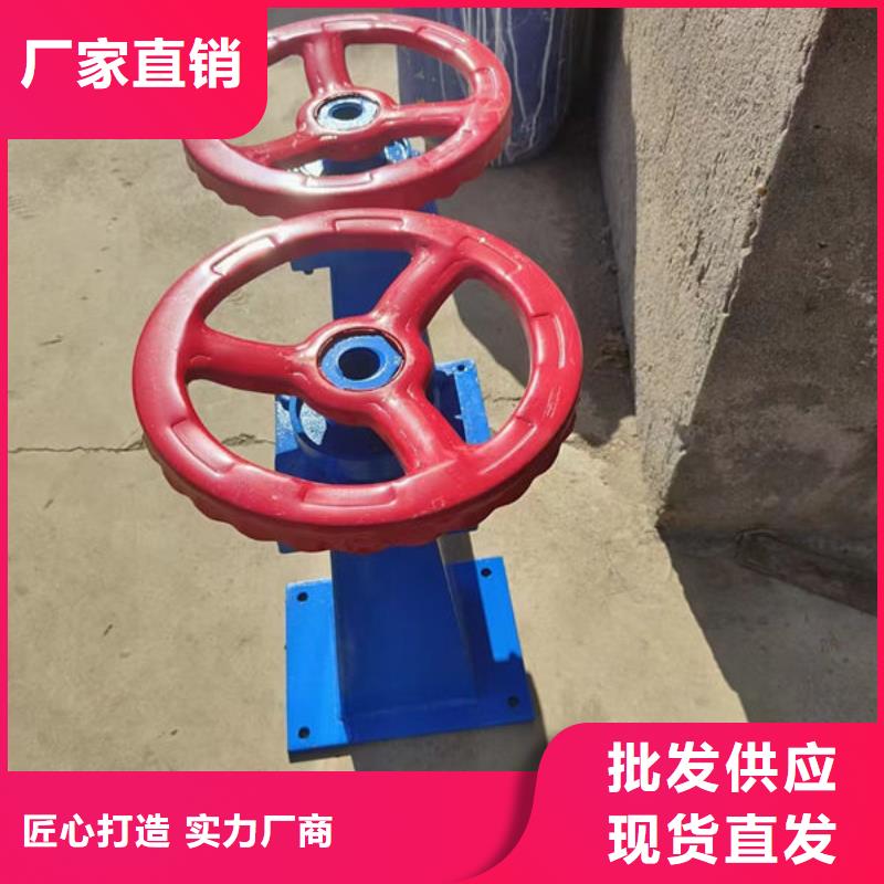 螺杆式启闭机直联式启闭机丰富的行业经验