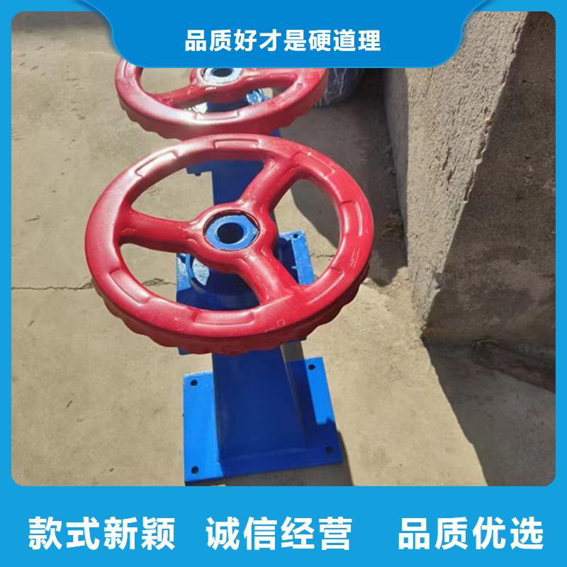 螺杆式启闭机-双吊点启闭机现货快速采购