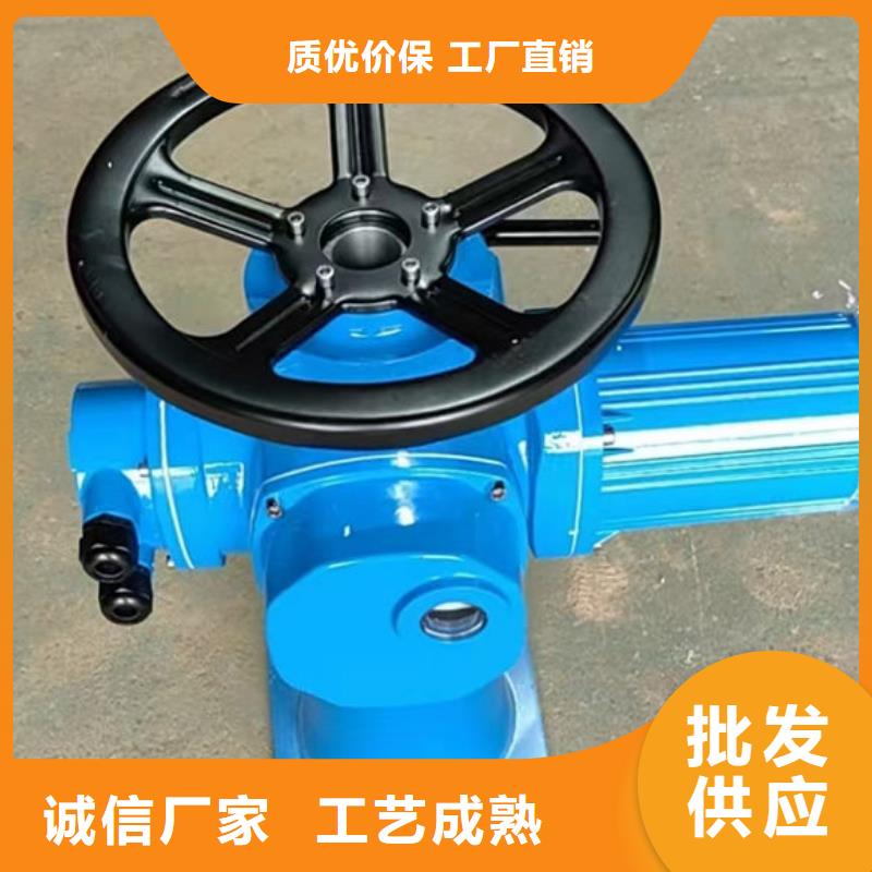 螺杆式启闭机侧摇启闭机库存齐全厂家直供
