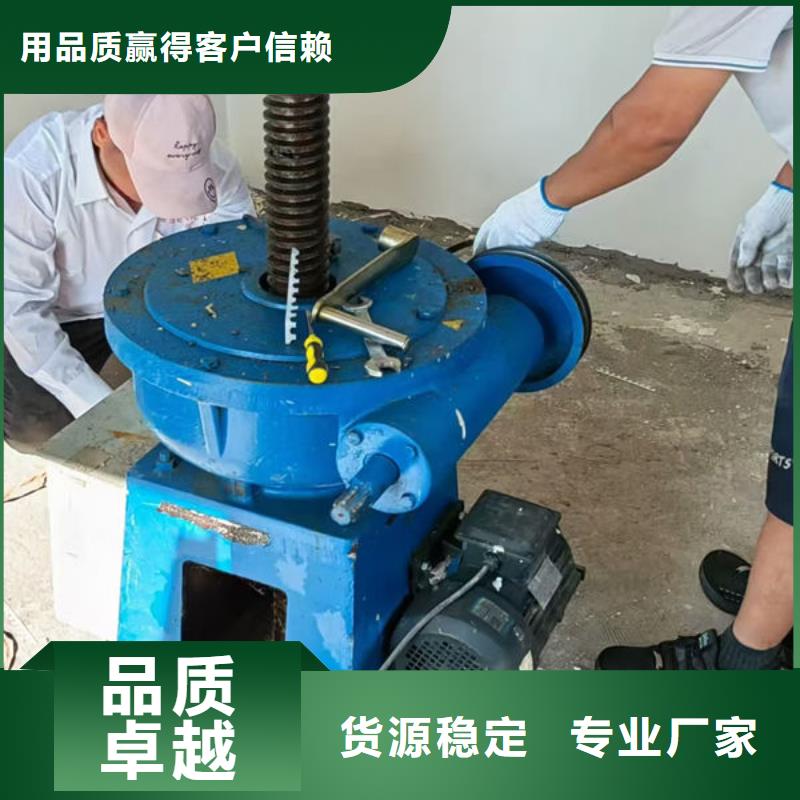 螺杆式启闭机双吊点启闭机做工细致