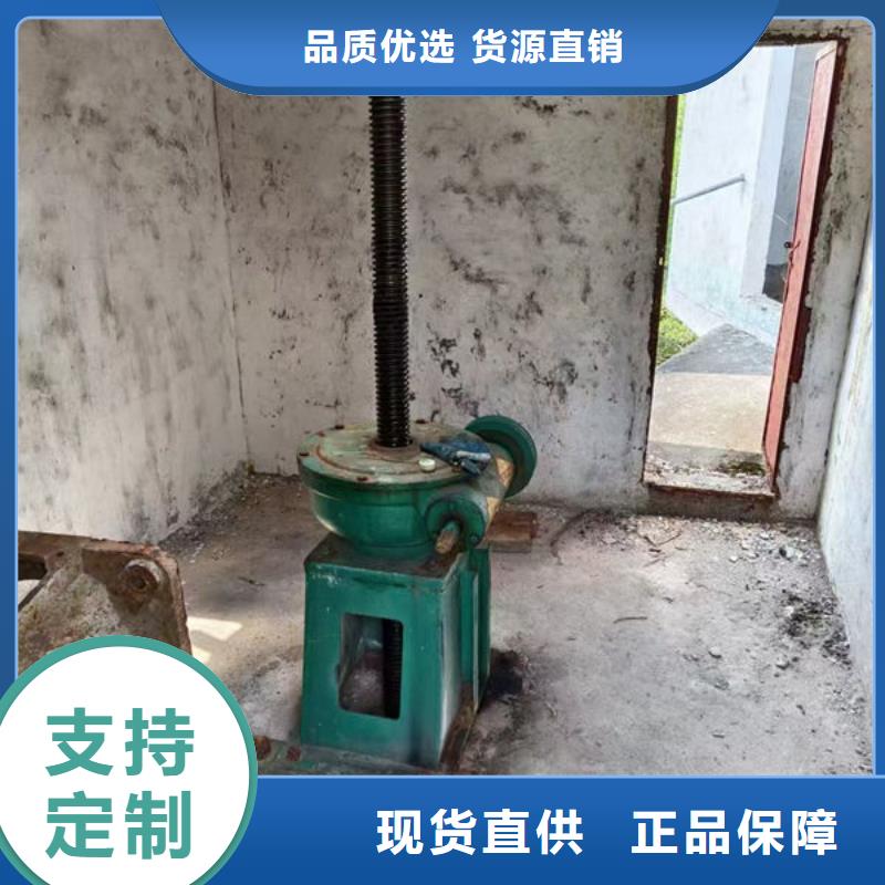 螺杆式启闭机双吊点启闭机正规厂家