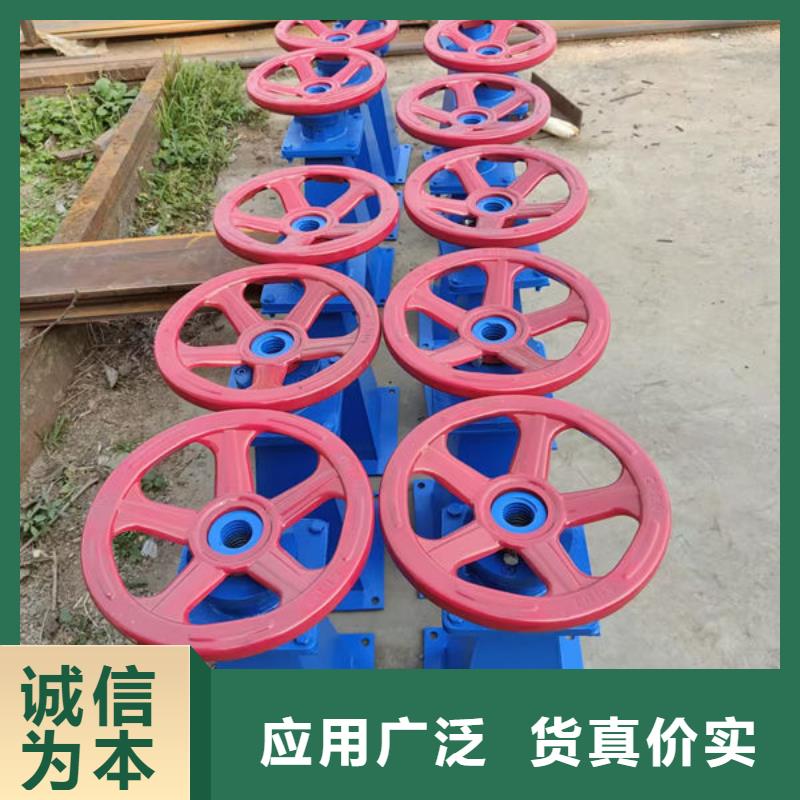 螺杆式启闭机电动头启闭机细节决定成败