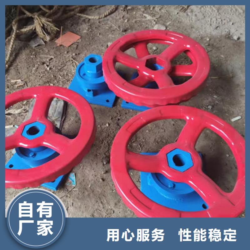 螺杆式启闭机直联式启闭机专注细节更放心
