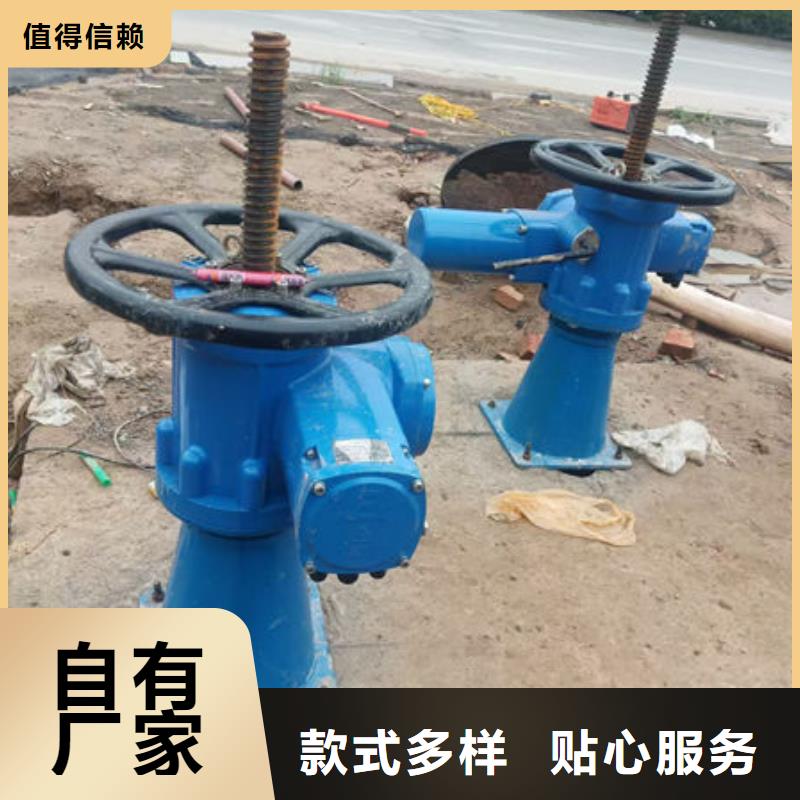 螺杆式启闭机-电动头启闭机海量现货