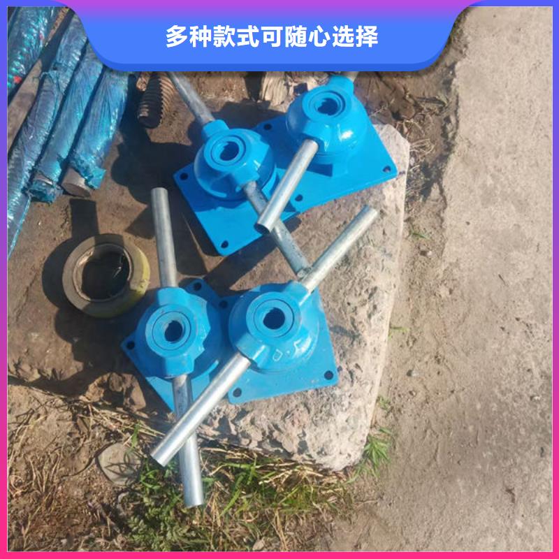 螺杆式启闭机_平推启闭机细节决定成败