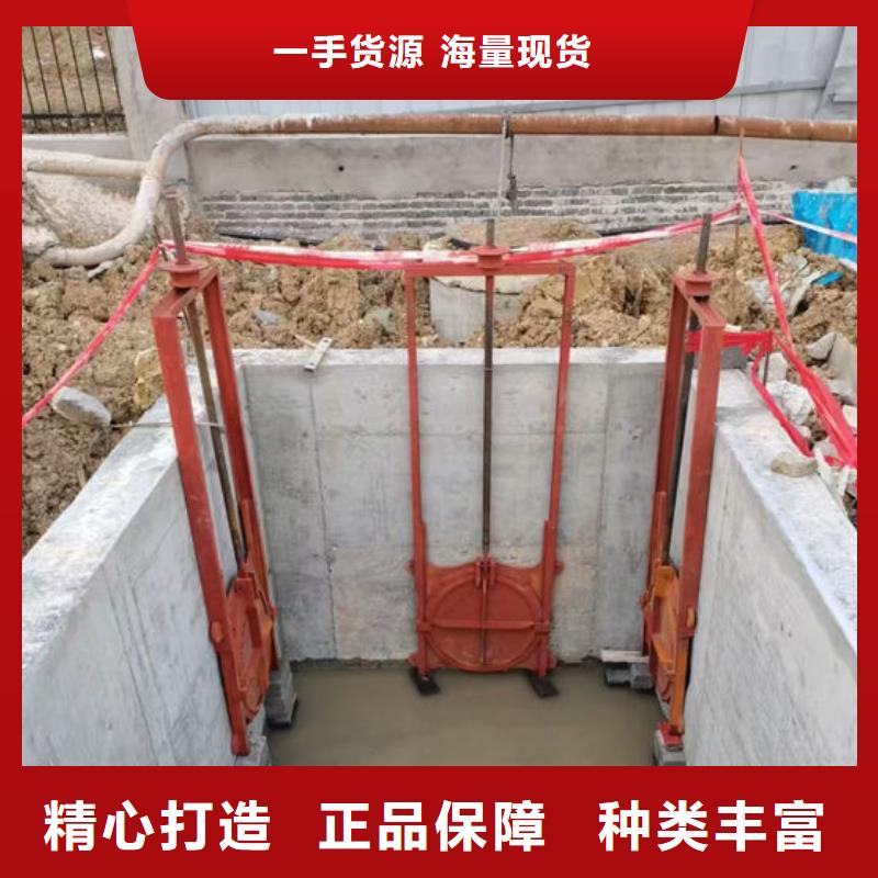 铸铁闸门-手提铸铁闸门细节决定成败