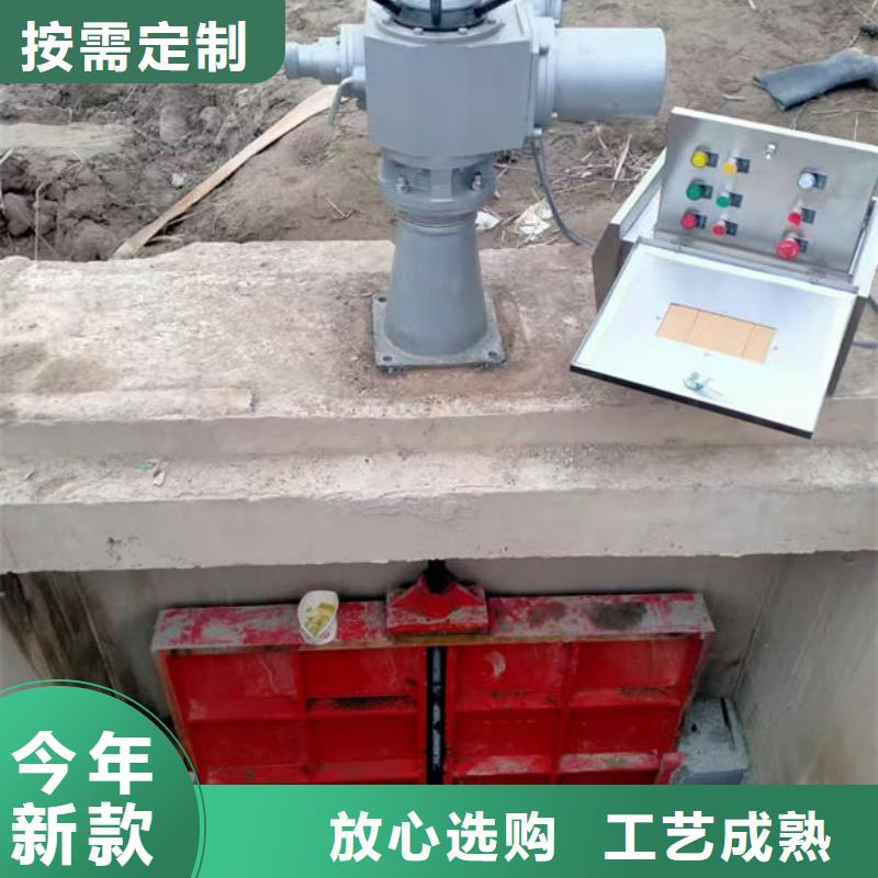 铸铁闸门-手提铸铁闸门细节决定成败