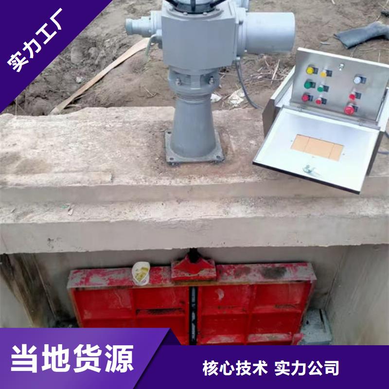 铸铁闸门河道铸铁闸门多种规格库存充足