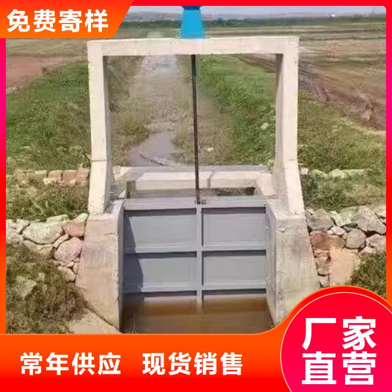 铸铁闸门-一体式闸门信誉有保证