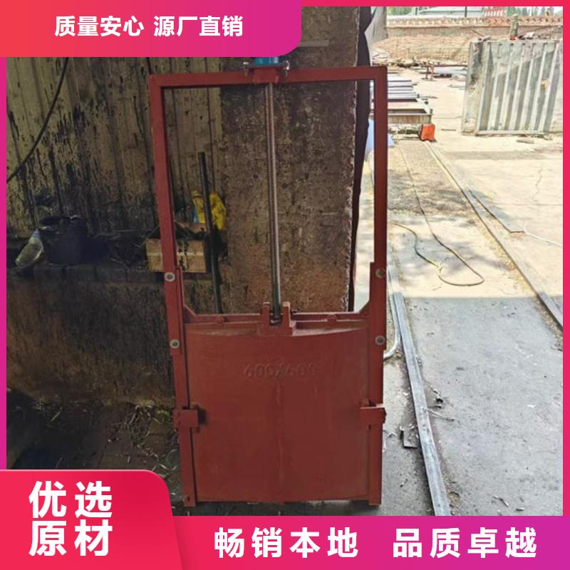 铸铁闸门-一体式闸门信誉有保证