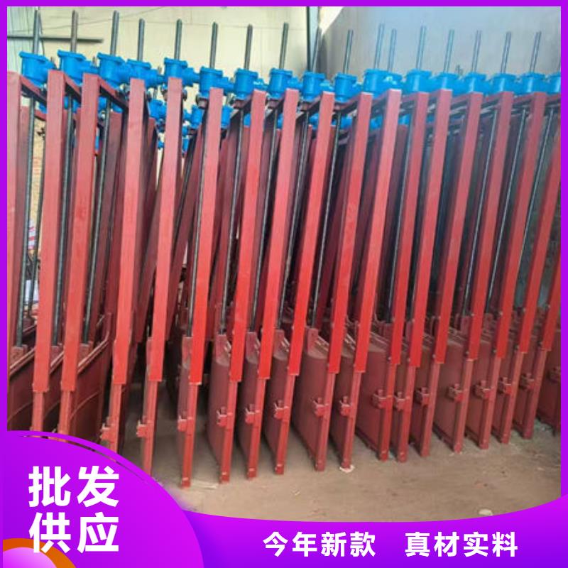 铸铁闸门河道铸铁闸门同行低价