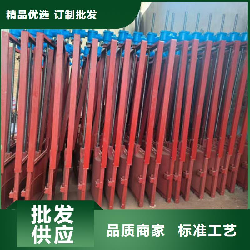 铸铁闸门泵站铸铁闸门专业供货品质管控