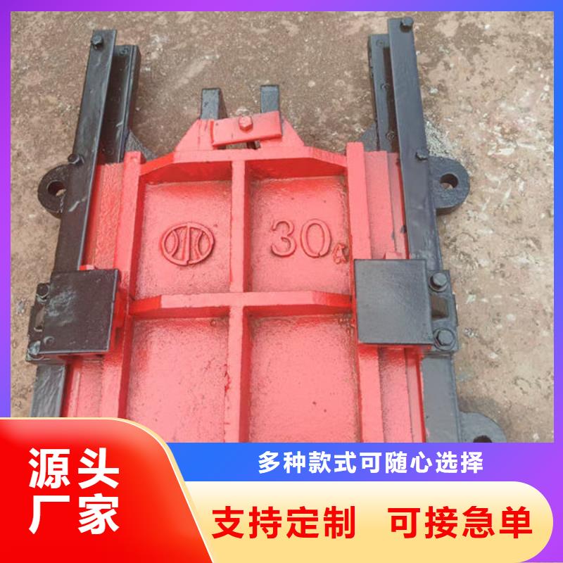 铸铁闸门_镶铜铸铁闸门支持货到付清