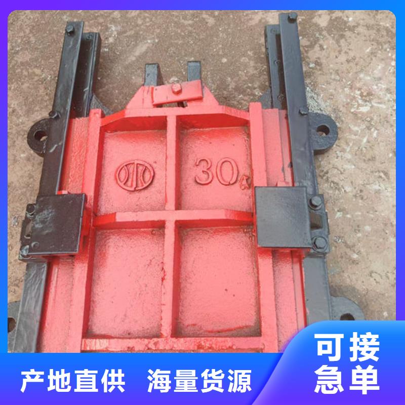 铸铁闸门_水电站铸铁闸门送货上门
