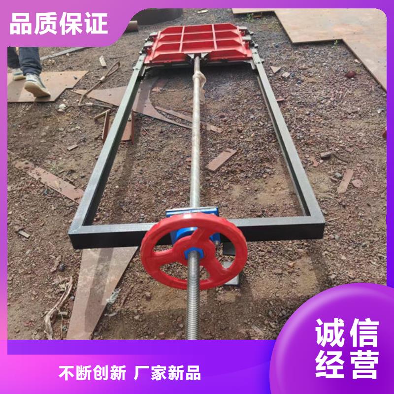 铸铁闸门,手提铸铁闸门现货充裕
