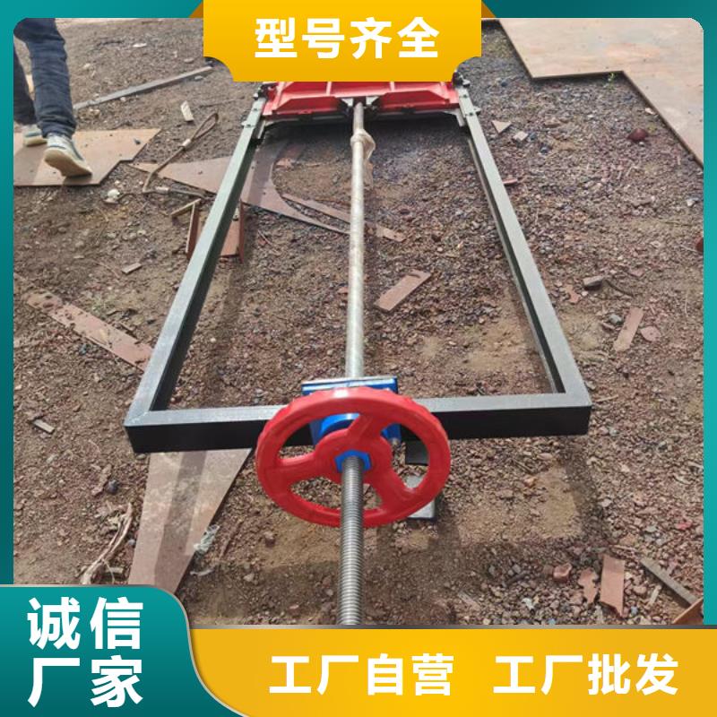 铸铁闸门,镶铜铸铁闸门专注质量