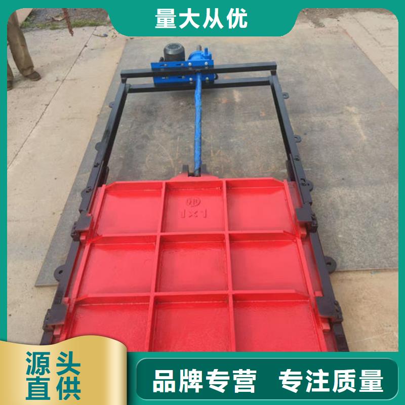 铸铁闸门扇形闸门检验发货