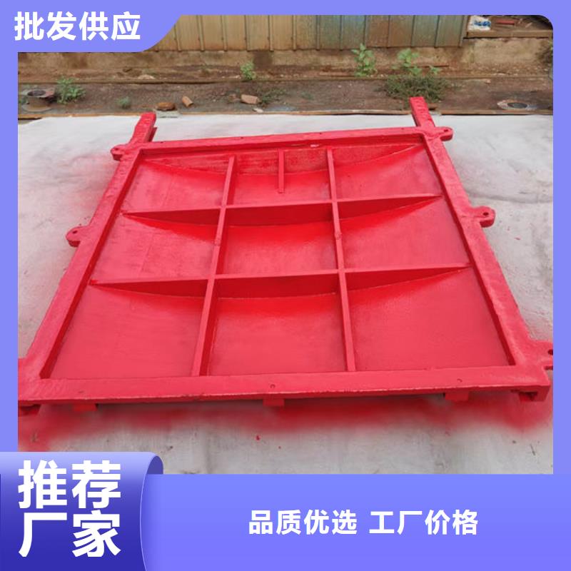 铸铁闸门扇形闸门有实力有经验
