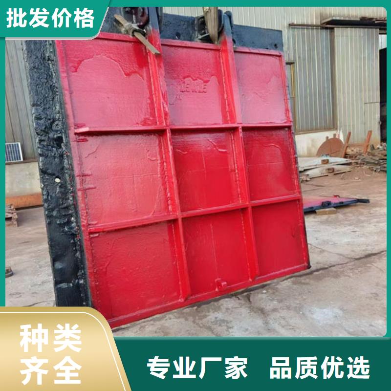 铸铁闸门河道铸铁闸门多种规格库存充足