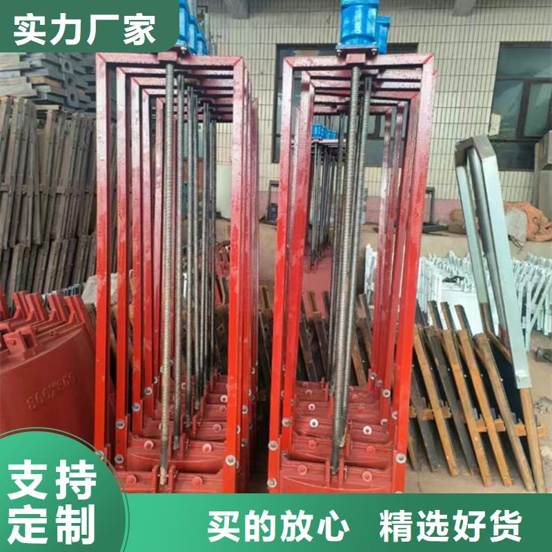 扇形闸门工厂直销