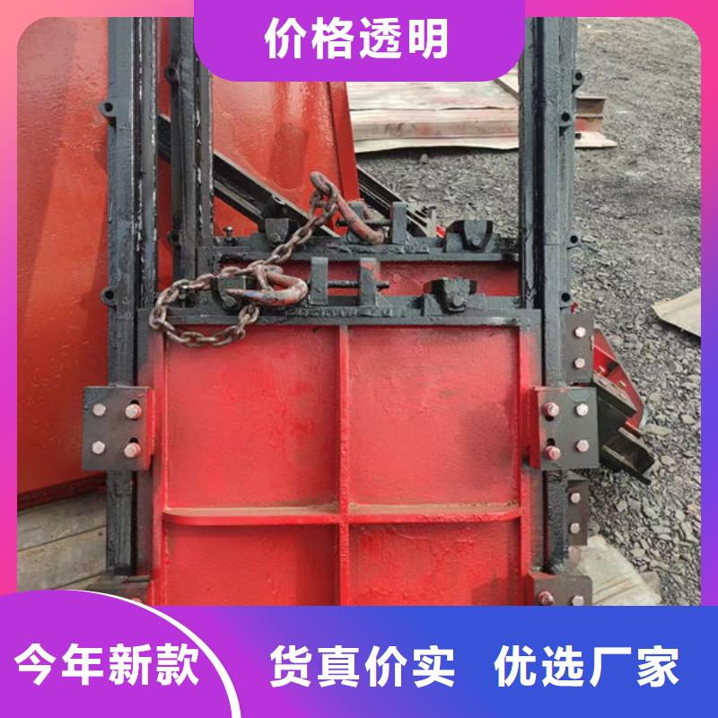 铸铁闸门铸铁拍门制造厂家
