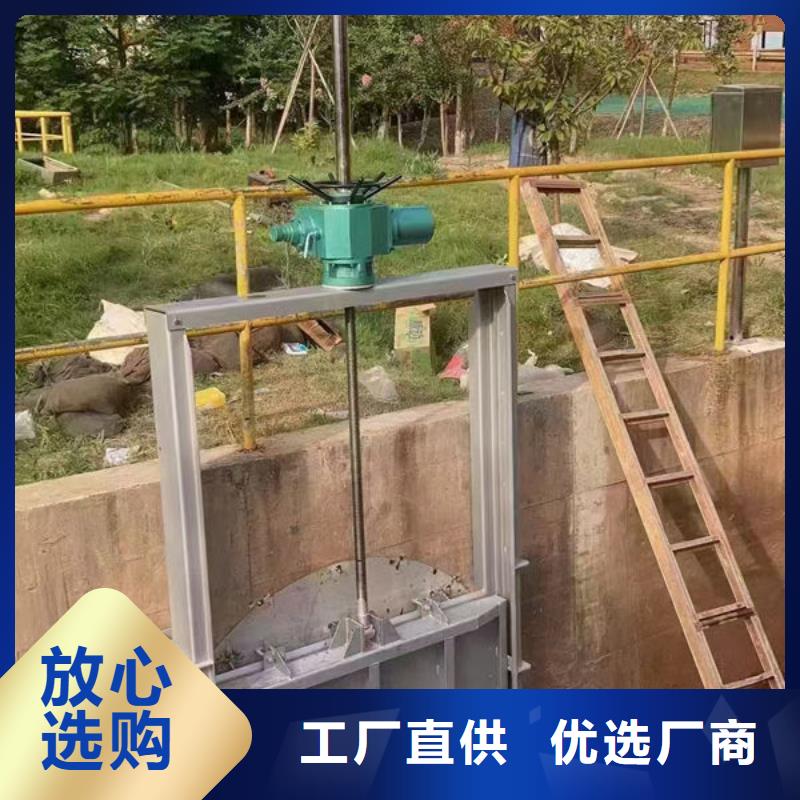 铸铁闸门扇形闸门价格透明