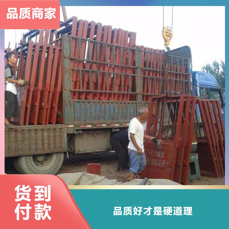 铸铁闸门渠道闸门厂家案例