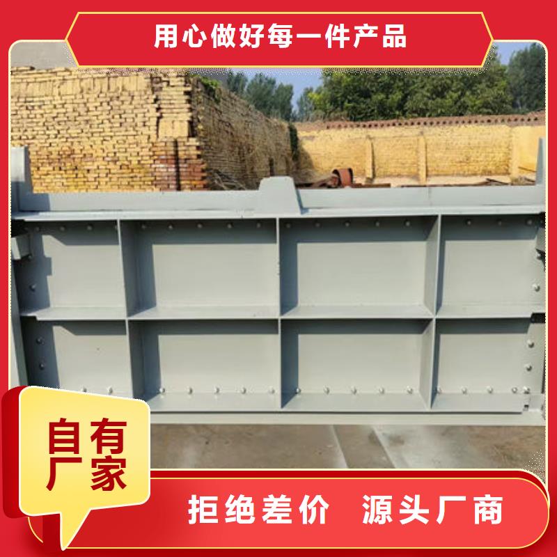 钢坝闸门,叠梁门大厂生产品质