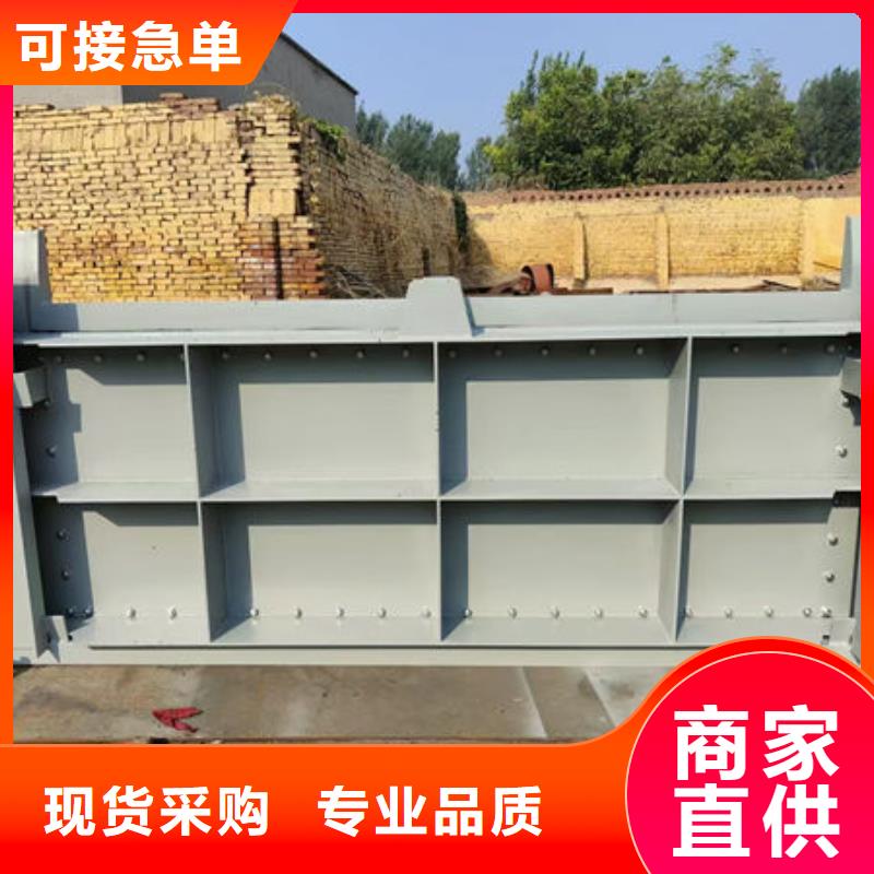 钢坝闸门-翻板闸门品质优选
