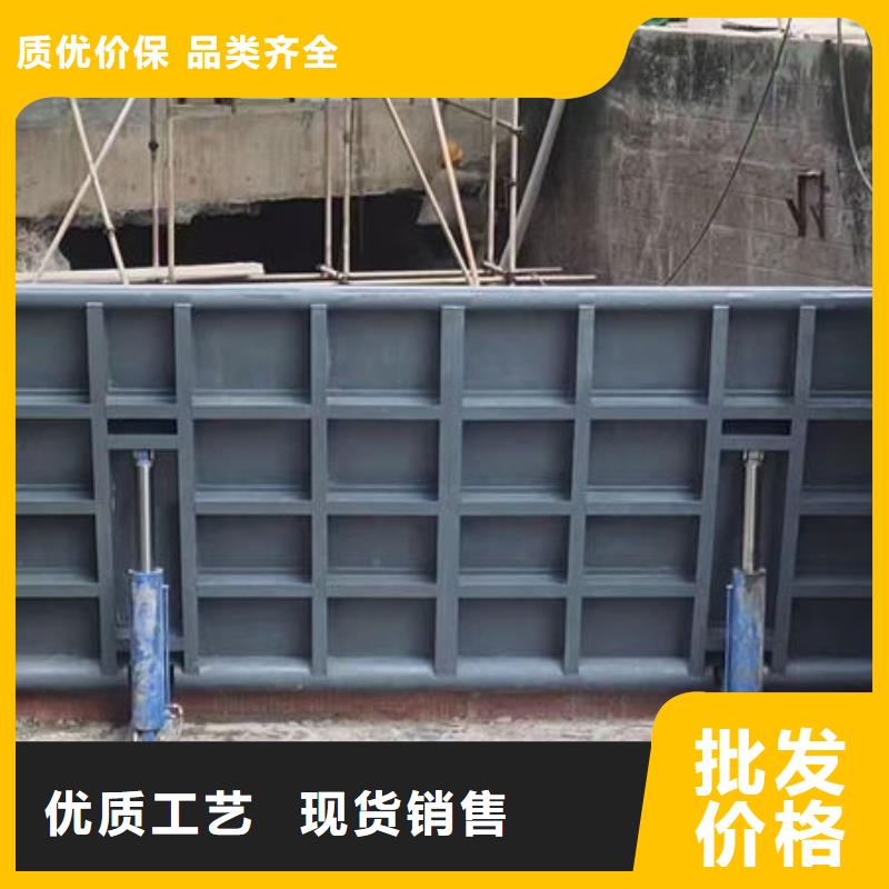 钢坝闸门-泵站上卧式闸门专注细节更放心