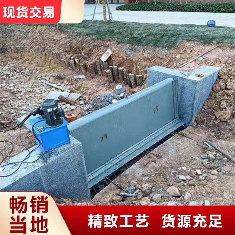 钢坝闸门-翻板闸门品质优选