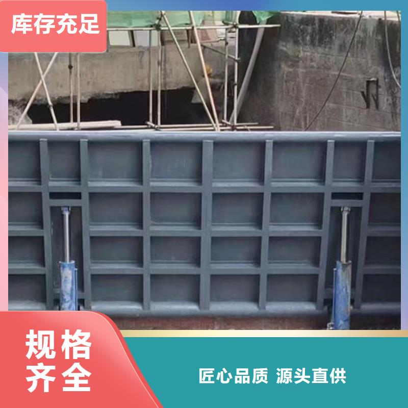 钢坝闸门平板钢闸门实力公司