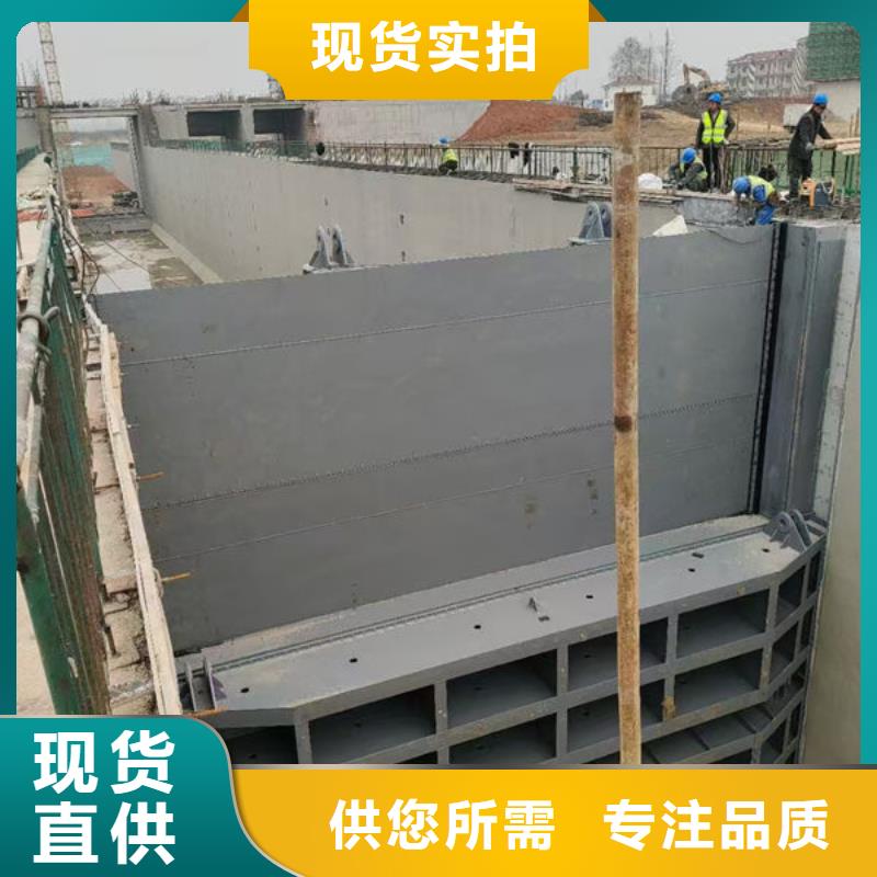 钢坝闸门叠梁门实地大厂