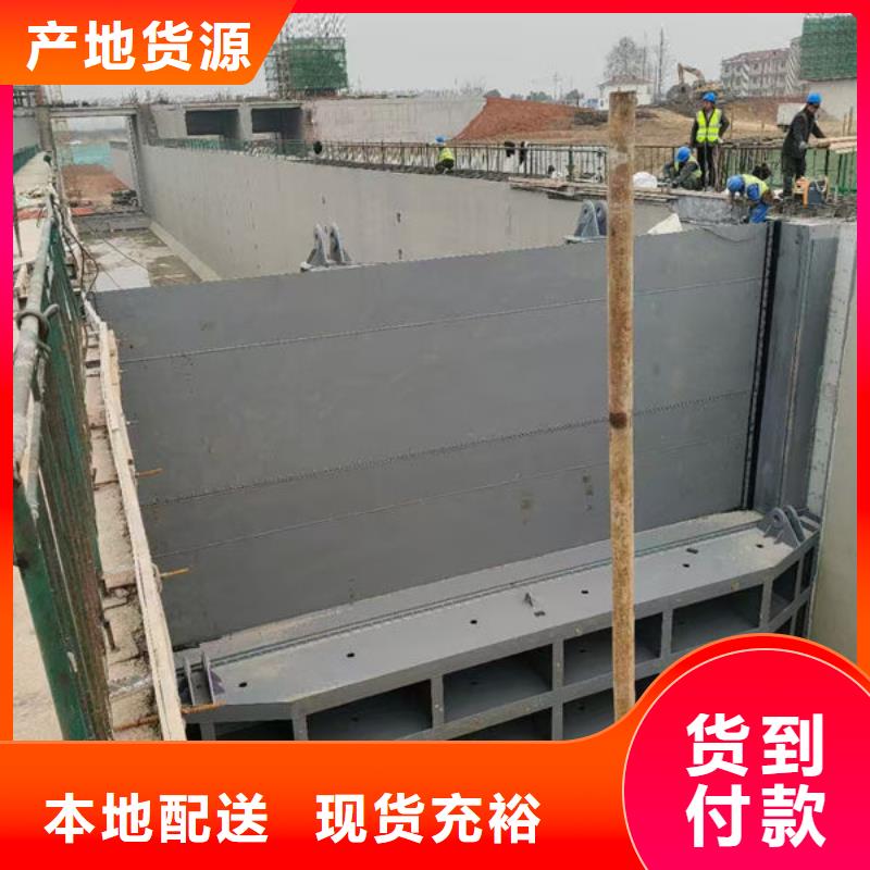 钢坝闸门平板钢闸门实力公司