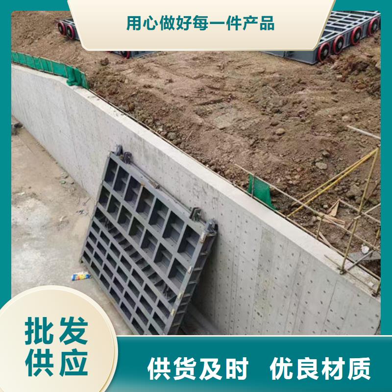 钢坝闸门叠梁门现货采购