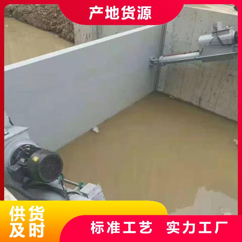 钢坝闸门-泵站上卧式闸门专注细节更放心