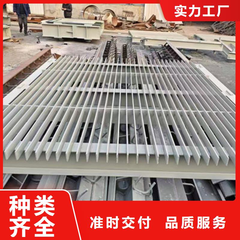 清污机不锈钢格栅除污机用心做好细节