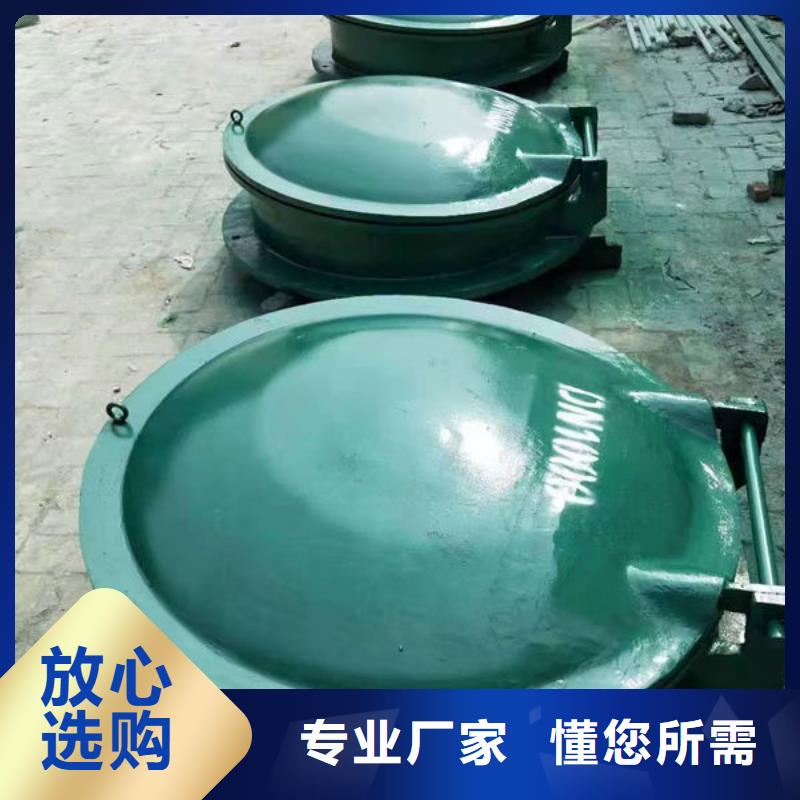 拍门防倒灌拍门价格透明