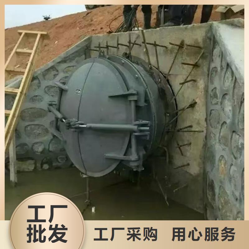拍门_钢制拍门精益求精